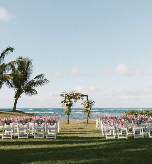 loulupalm1-MersadiOlson-58af54a07f384483a4191424114186c2